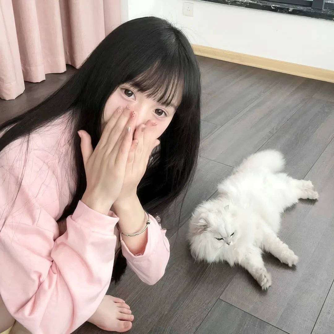旋风九日